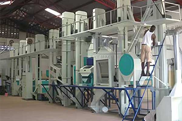 40-50吨/天全套碾米机