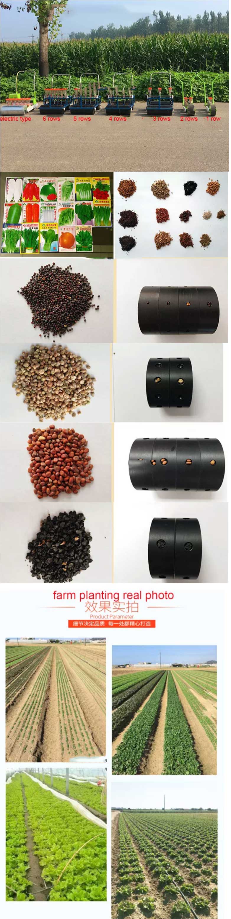 1669008751764704.jpg 1650506420343593.jpg