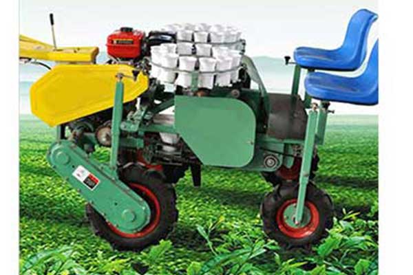 番茄生菜洋葱蔬菜移栽机